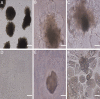 Fig.3