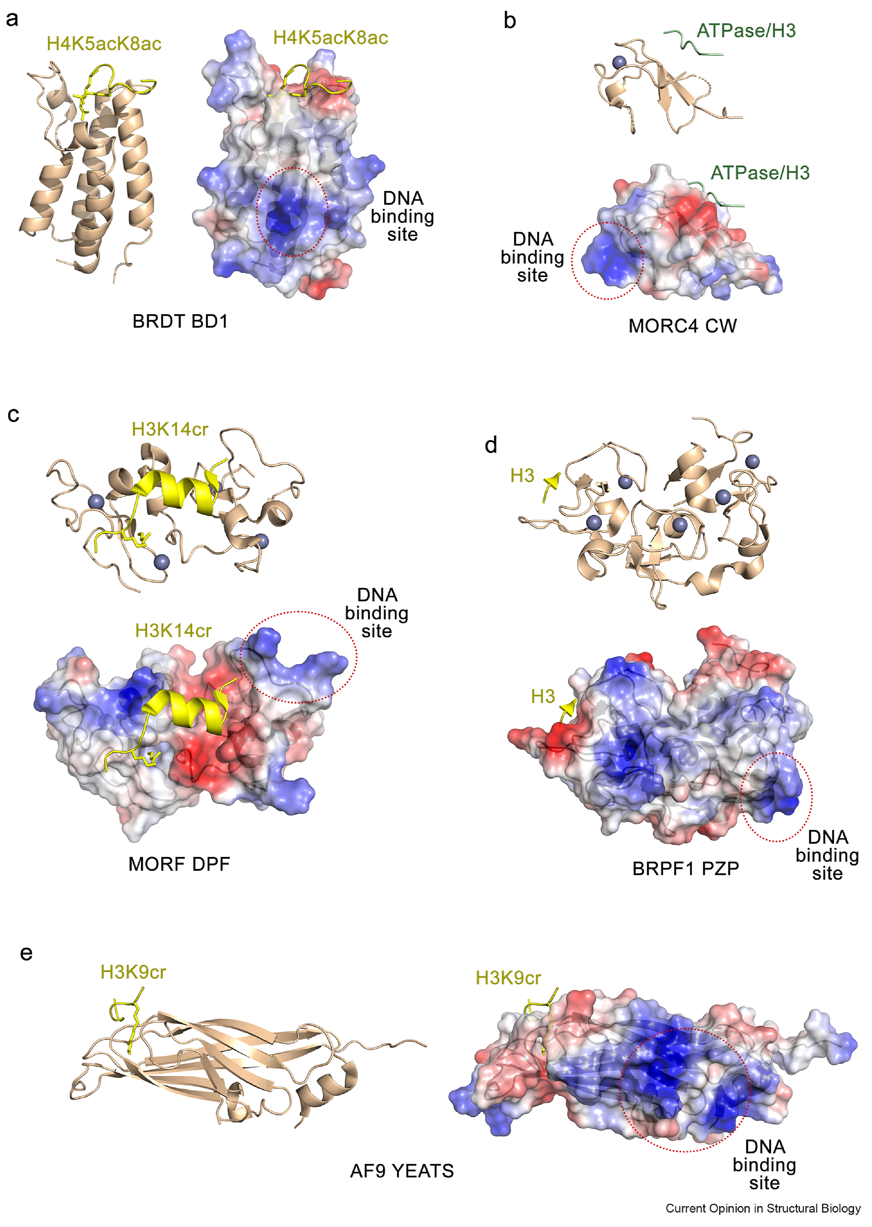 Figure 1: