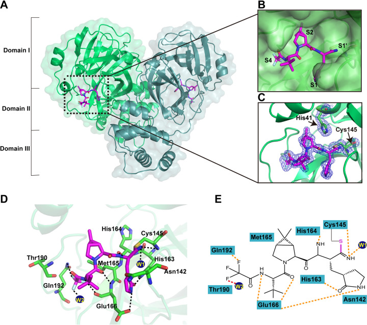 FIG 2