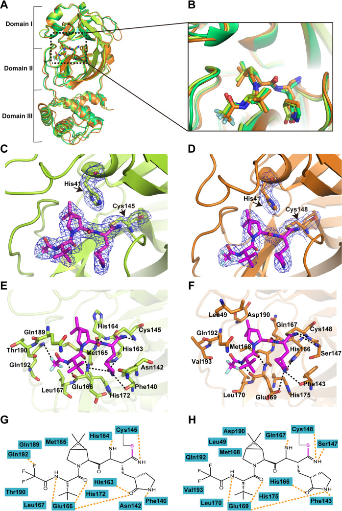 FIG 3