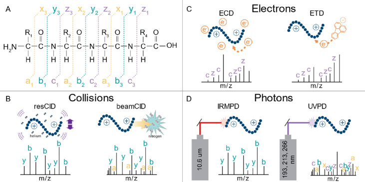 Figure 14