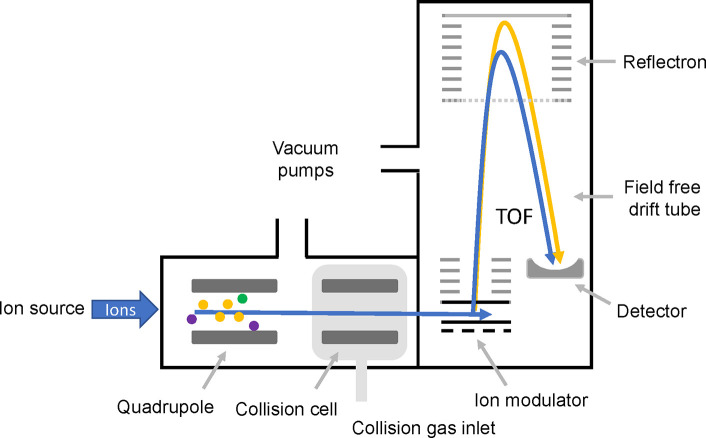 Figure 10