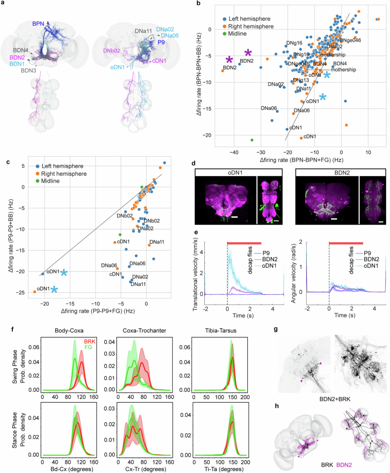Extended Data Fig. 6