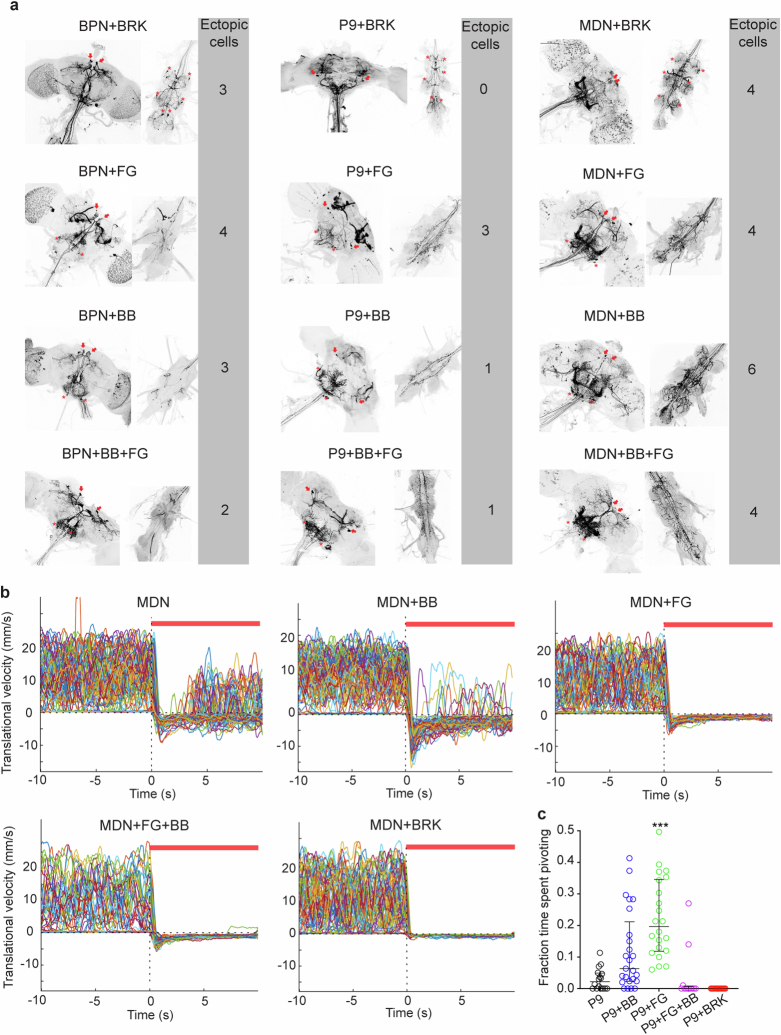 Extended Data Fig. 4