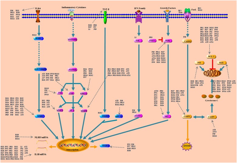 FIGURE 3