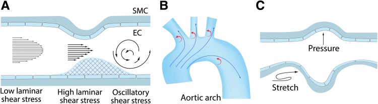 FIG. 1.