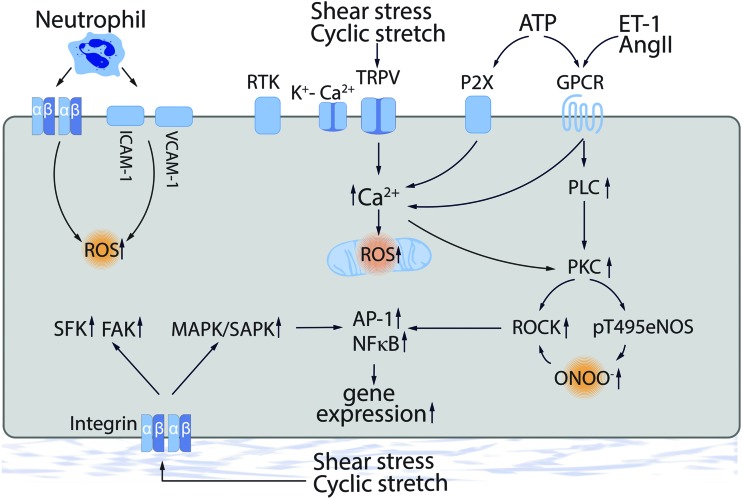 FIG. 2.