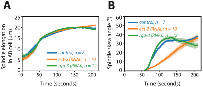 Figure 4—figure supplement 1.