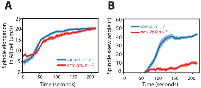 Figure 5—figure supplement 1.