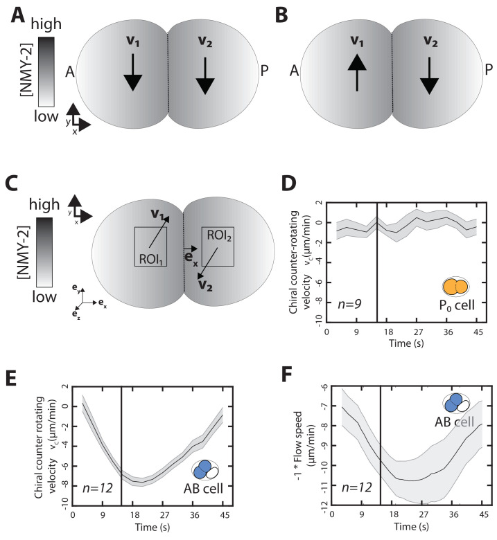 Figure 1—figure supplement 2.