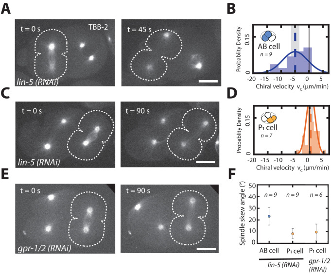 Figure 4—figure supplement 2.