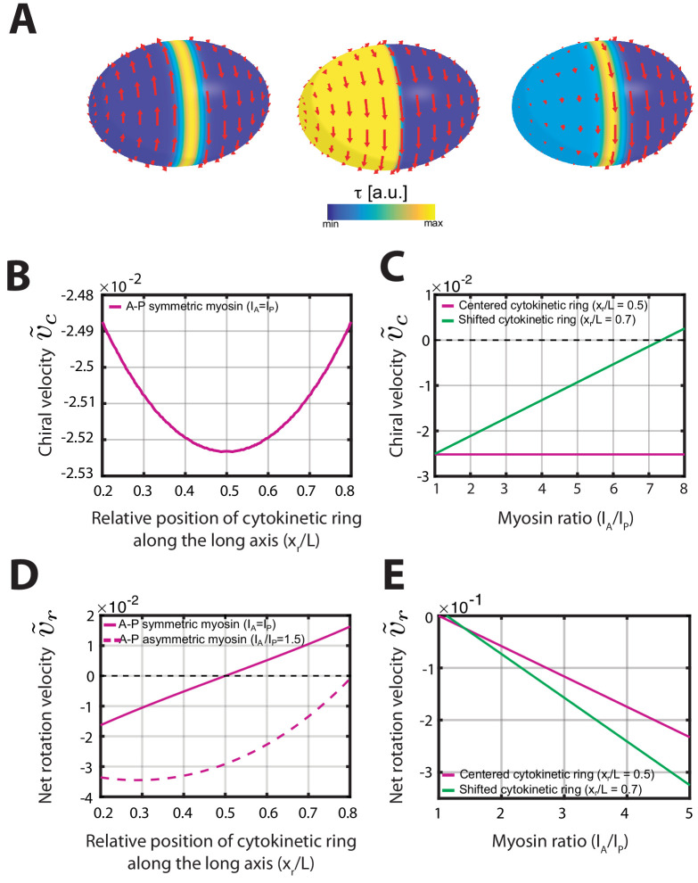 Figure 1—figure supplement 7.