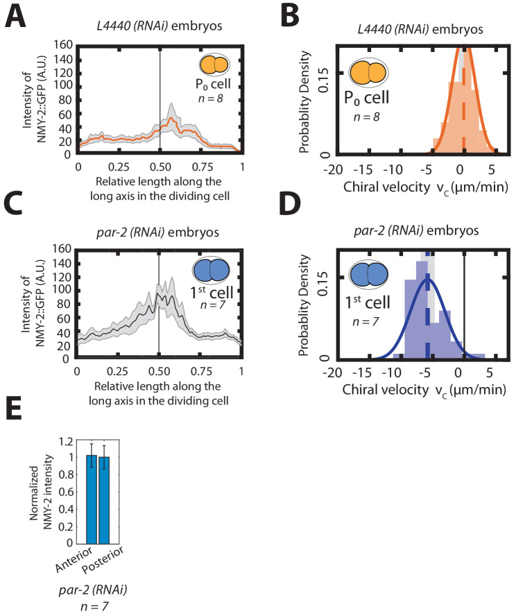 Figure 1—figure supplement 9.