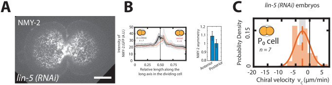 Figure 1—figure supplement 10.