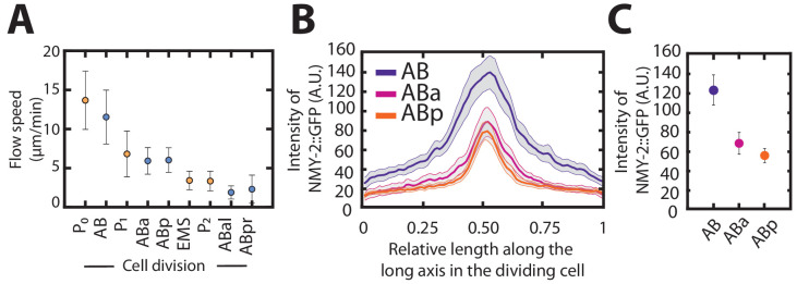 Figure 1—figure supplement 5.