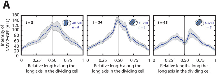 Figure 1—figure supplement 3.