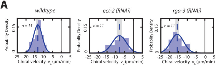 Figure 5—figure supplement 2.