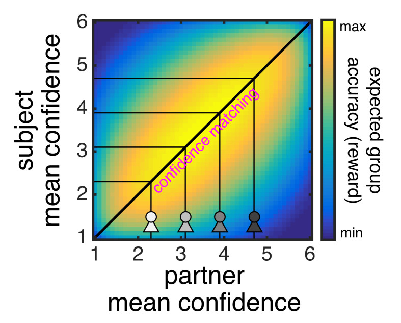 Figure 1—figure supplement 1.