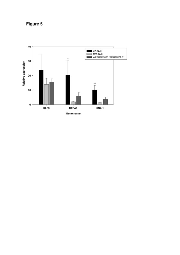 Figure 5