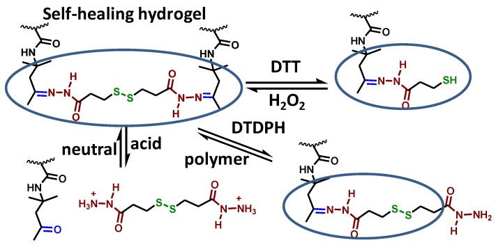 Scheme 3