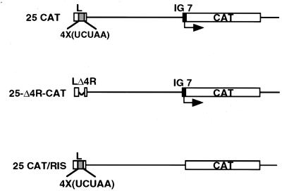 FIG. 5