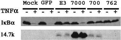 FIG. 5.