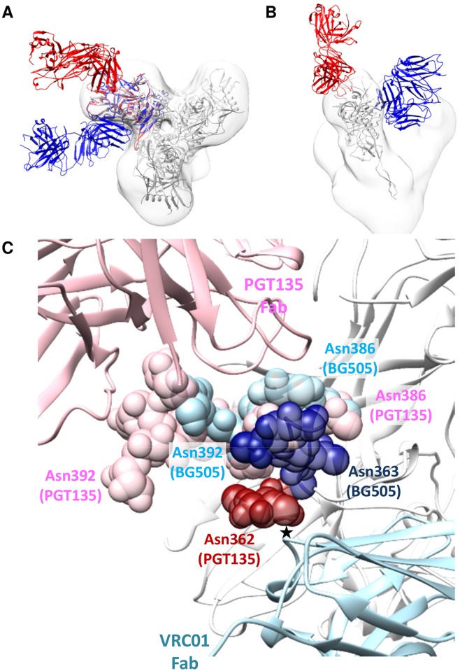 Fig 6