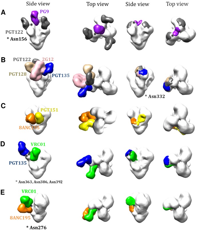 Fig 5