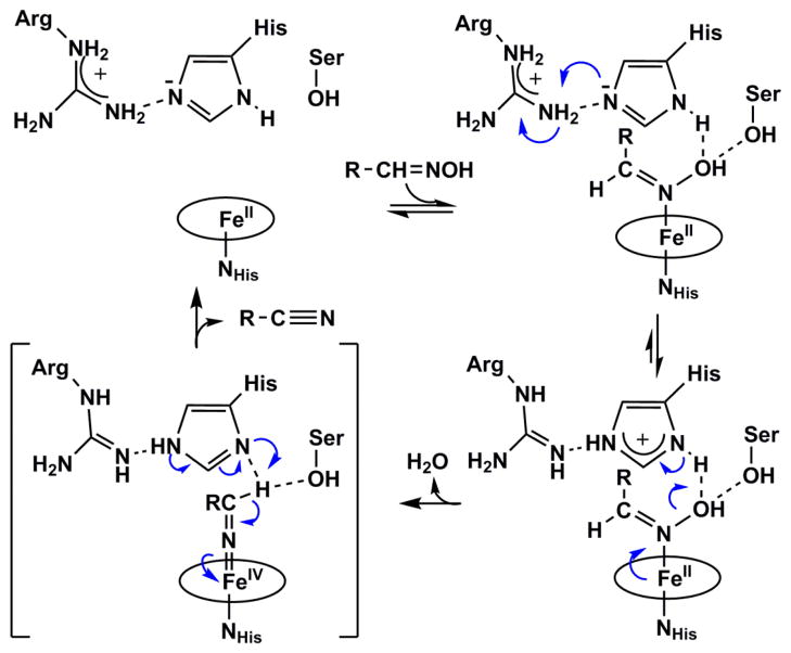 Scheme 1