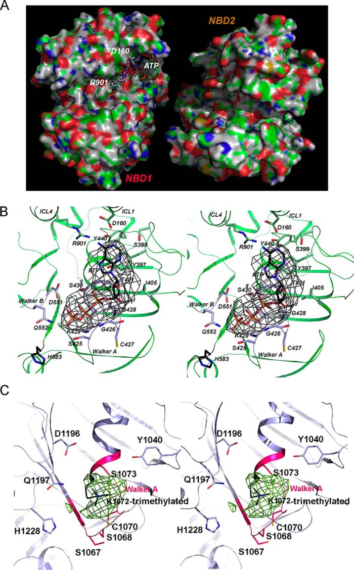 FIGURE 3.