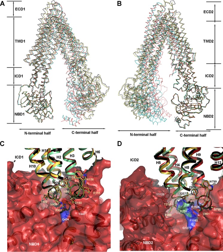 FIGURE 4.