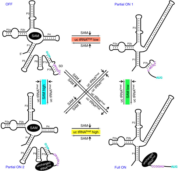 Fig. 6