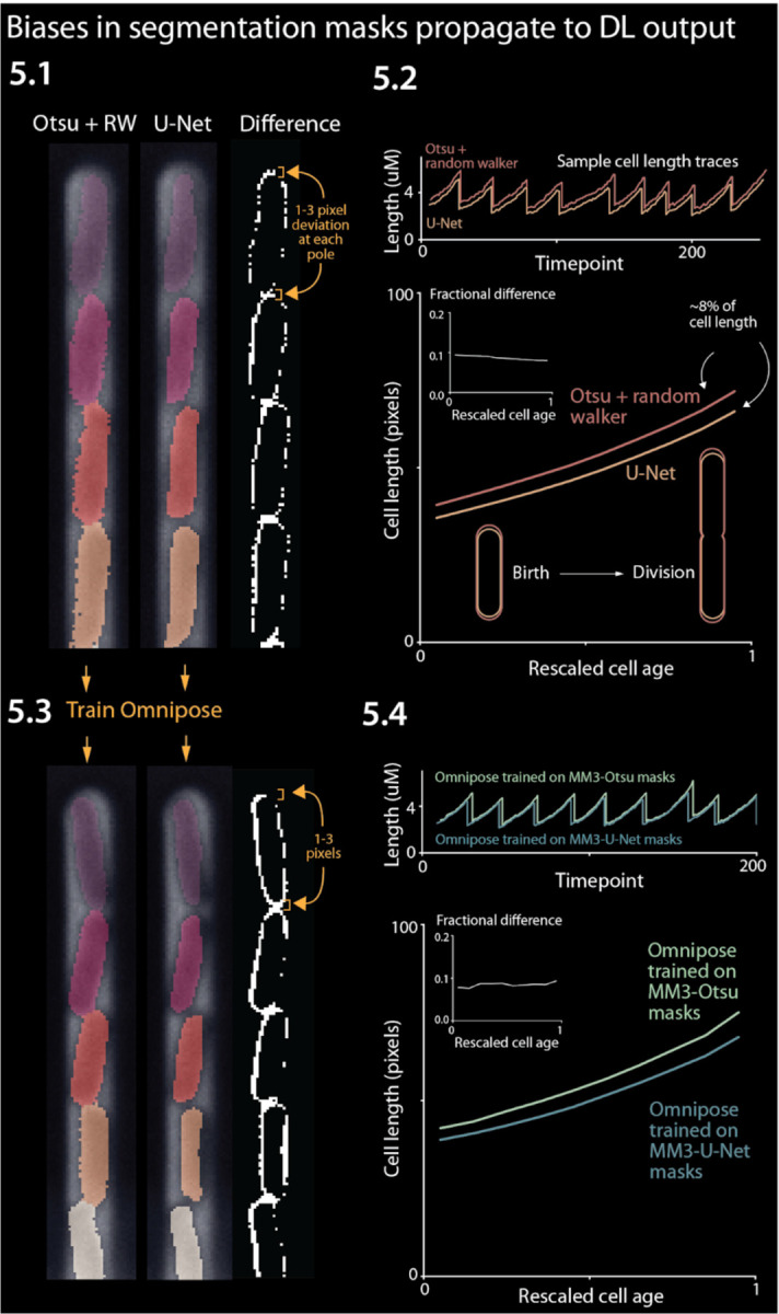 Figure 5: