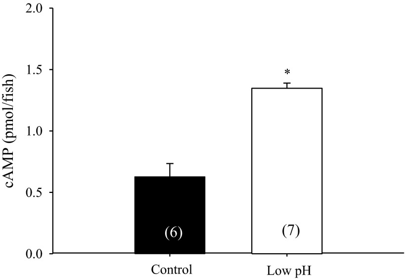 Fig. 7.