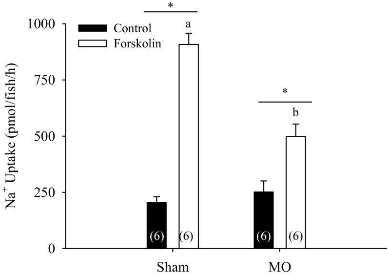 Fig. 5.