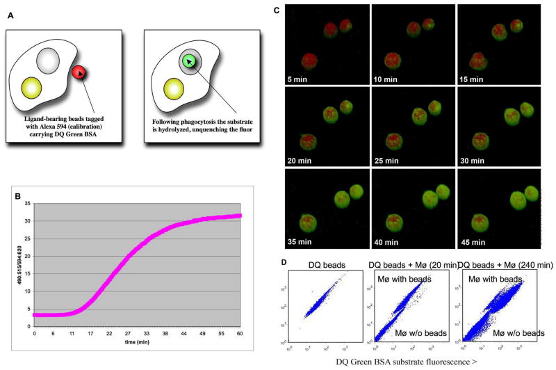 Fig. 1