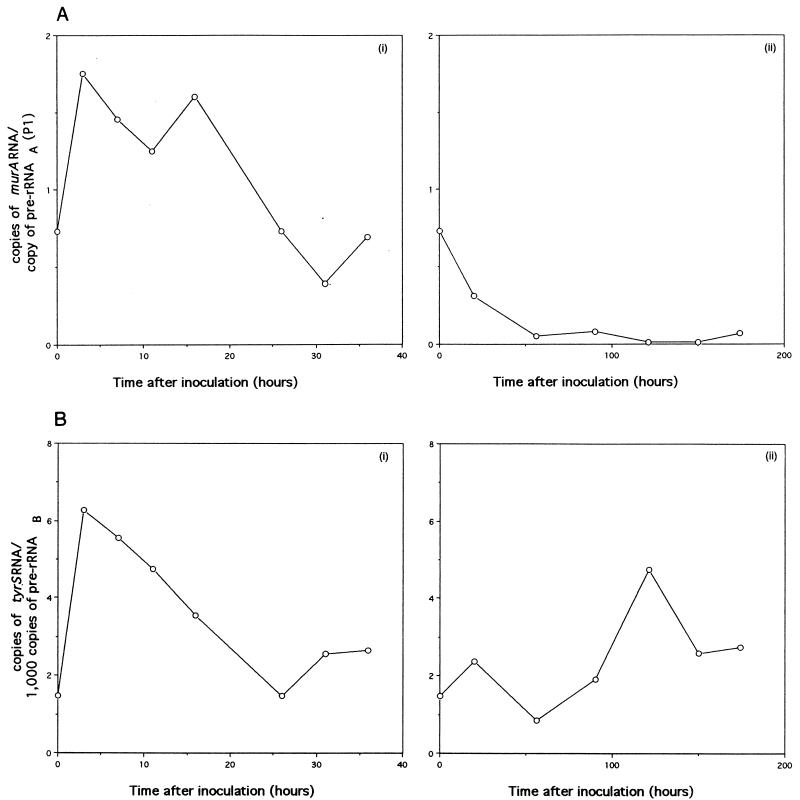 FIG. 6