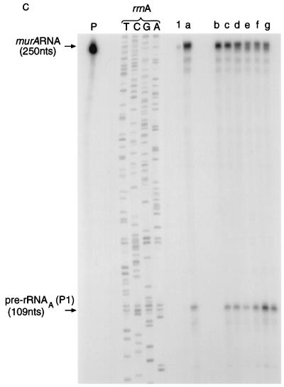 FIG. 5