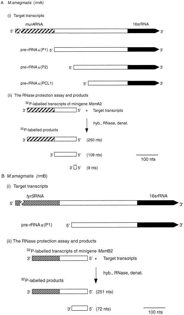 FIG. 5