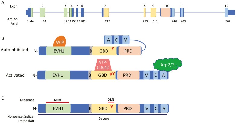 Figure 1: