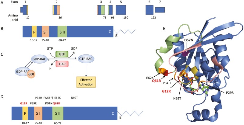 Figure 2: