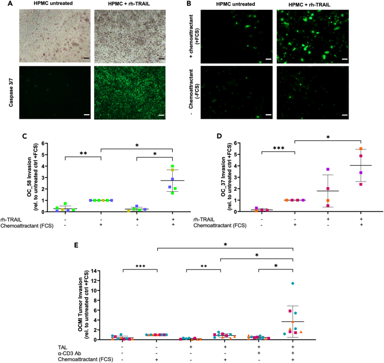 Figure 6