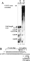 FIG. 5.
