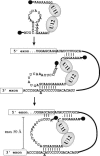 FIG. 8.
