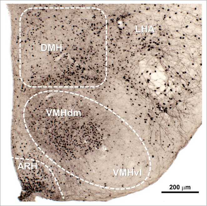 Figure 2.