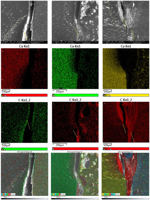 Fig. 6: