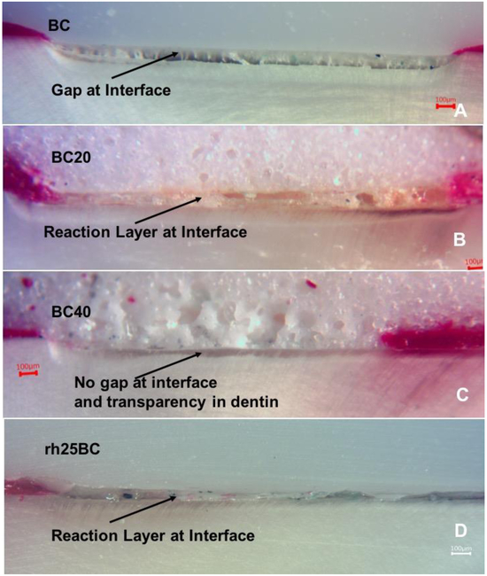 Fig. 2: