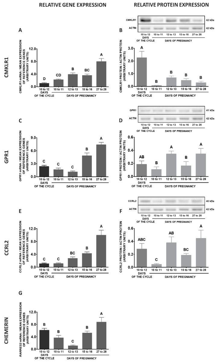 Figure 13