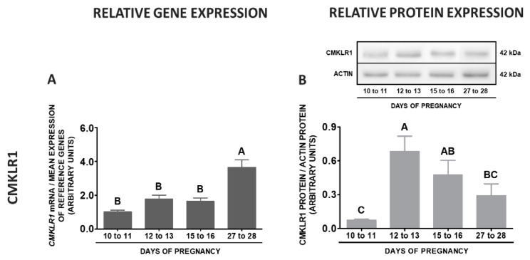 Figure 12