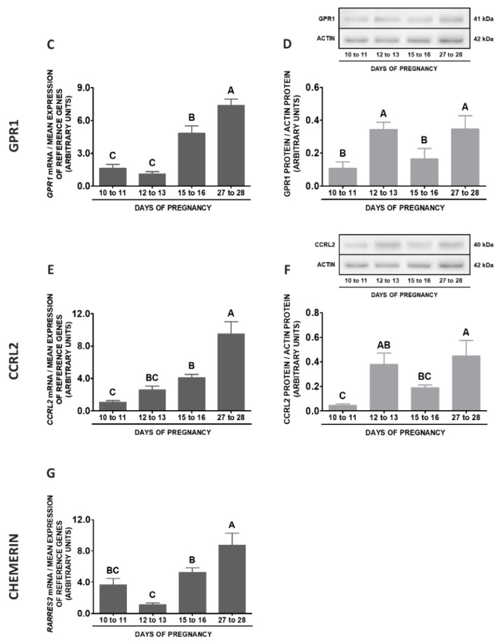 Figure 12